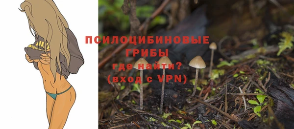 mdpv Абдулино