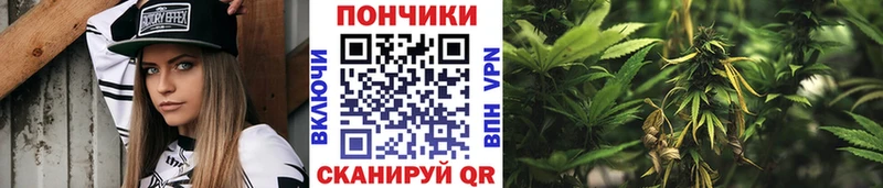 Шишки марихуана Bruce Banner Темников